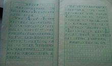 我的兴趣爱好作文600字