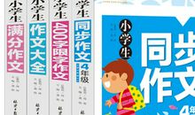 书中的趣味作文400字