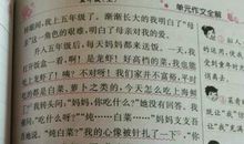 介绍我自己的作文