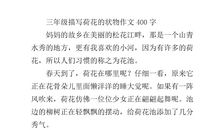 美丽的荷花三年级作文