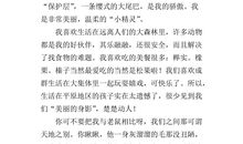 书包的自述作文300字