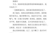 逛超市作文600字