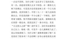 蜜蜂的启示作文