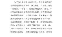 写植物的作文400字