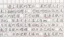 逝去的日子作文