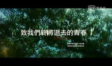 逝去的青春作文