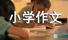 美丽的贝壳作文