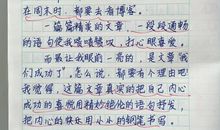 关于成败的作文