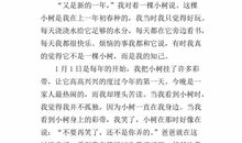 小学生作文新年愿望