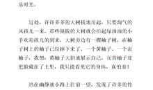 未来的学校400字