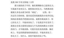 这就是我300字