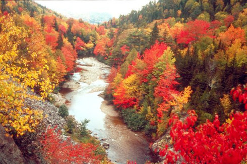 阅读后平静秋天的色彩