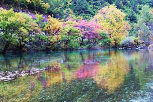 九寨沟旅游笔记组成