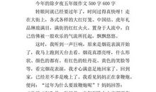 除夕作文600字