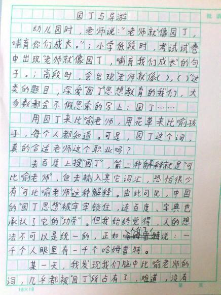 美丽的期待组成