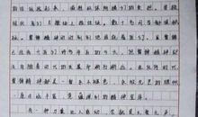 雷锋在我心中征文