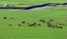 关于草原的作文