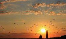 两色风景经典语录