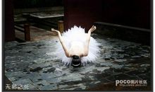 天鹅之死观后感