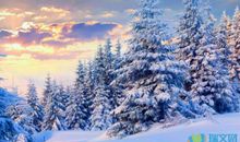 冬日里的一缕阳光