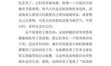 一只流浪狗作文400字