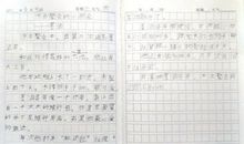 我的家乡济南作文