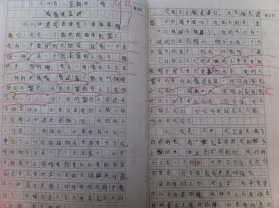 环保三年级组成