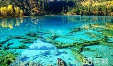 九寨沟作文500字