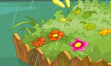 春天的小雨点作文