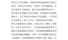 读书给我的启示作文