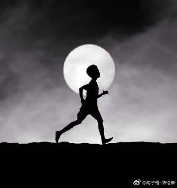 杨昌义经典语录