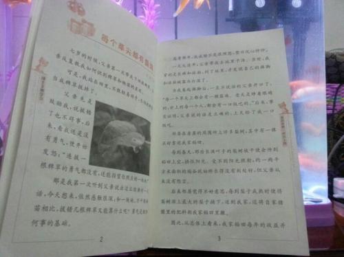 我成了我的兄弟