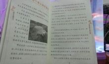 我成为了哥哥读后感