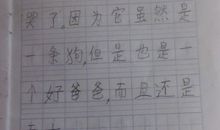 天才眼镜狗观后感800字
