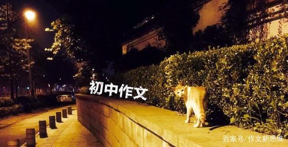 我回家的最后一天有600个字