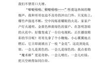 作文寒假见闻400字