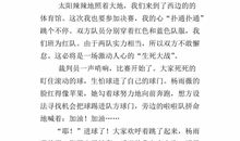 一场足球赛作文400字