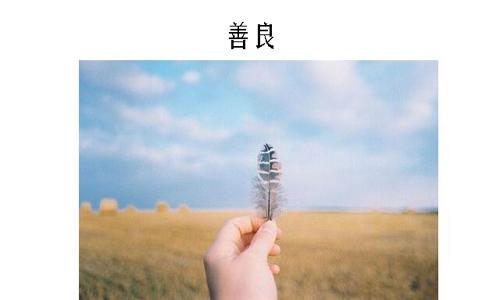 魅力种类600个单词