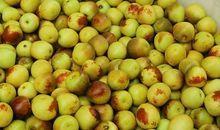 那些年入上百万的人是如何做到的