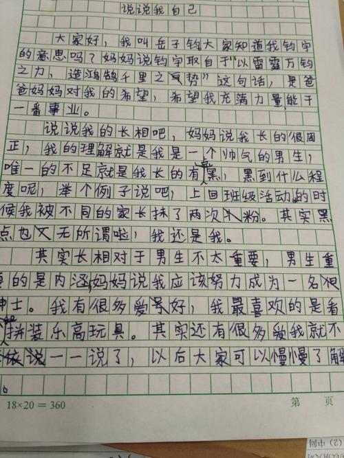 说说我自己的高考作文