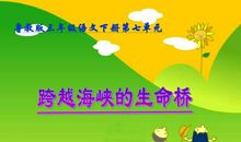 跨越海峡的生命桥读后感