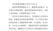 为梦想而努力作文600字