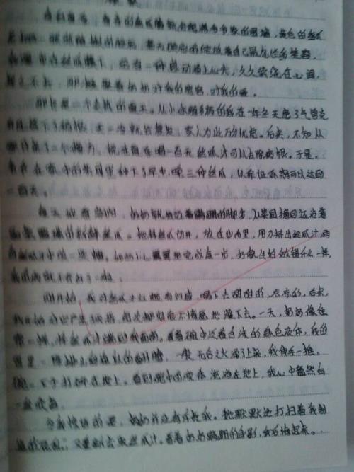 一件幸福的事500字作文
