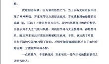 苏东坡传读后感400字