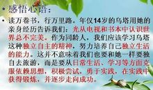 热爱生活读后感