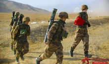 忠犬的背叛读后感