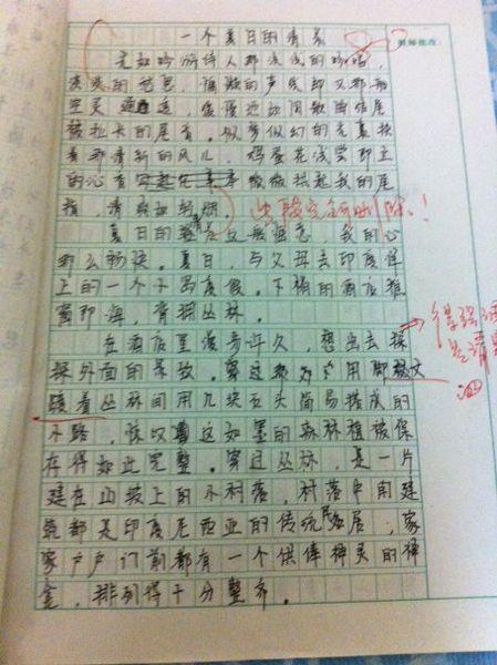 我的夏季论文有500个字