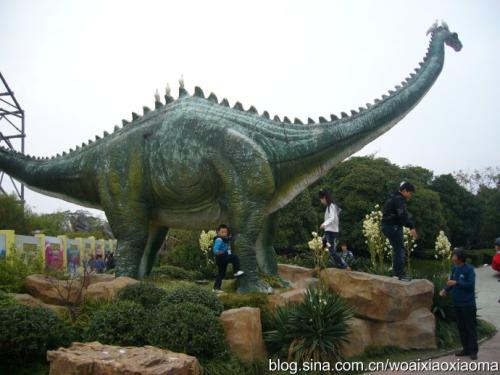 恐龙花园组成