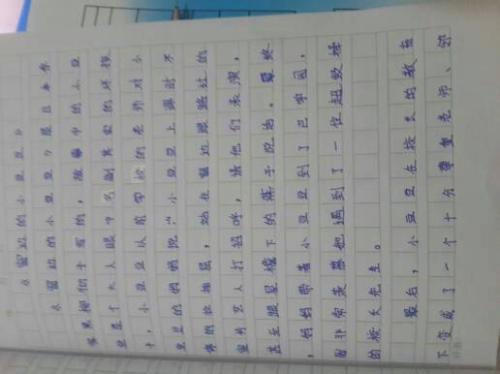 小二读小学二年级的感受