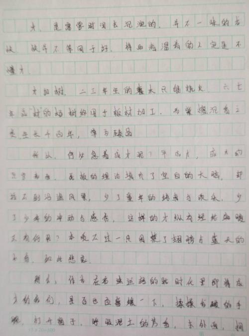 我的暑假论文有700个字